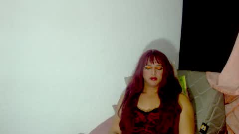 sophiehillsxo online show from 12/23/24, 07:38