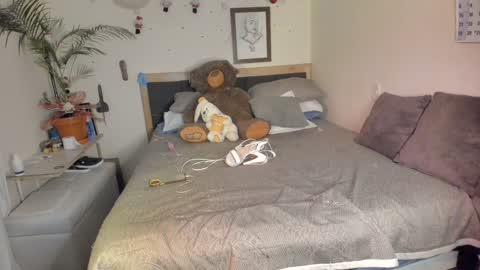 SofiTrans21 online show from 12/15/24, 09:53