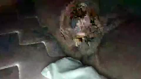 Snapshot of source1012 chatting on 01/11/25, 05:31 source1012 online show from 01/11/25, 05:31