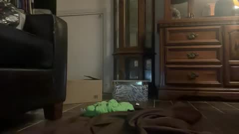 Snapshot of southernblueyes chatting on 04/11/26, 08:13 Southernblueyes online show from 04/11/26, 08:13