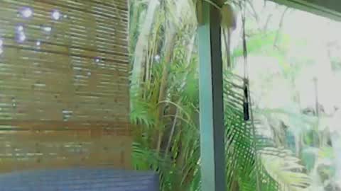 Snapshot of soveryhandsome chatting on 01/04/25, 05:58 soveryhandsome online show from 01/04/25, 05:58