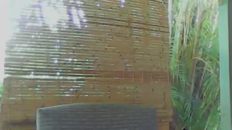 Snapshot of soveryhandsome chatting on 01/09/25, 05:34 soveryhandsome online show from 01/09/25, 05:34