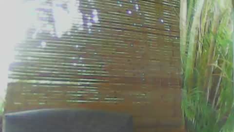 Snapshot of soveryhandsome chatting on 01/18/25, 11:00 soveryhandsome online show from 01/18/25, 11:00