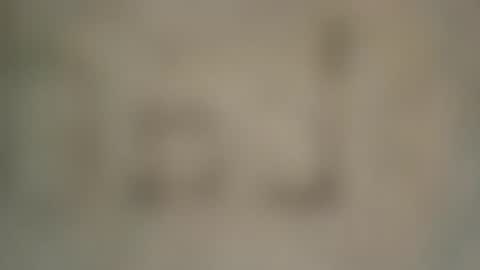 Snapshot of soveryhandsome chatting on 02/04/25, 07:33 soveryhandsome online show from 02/04/25, 07:33