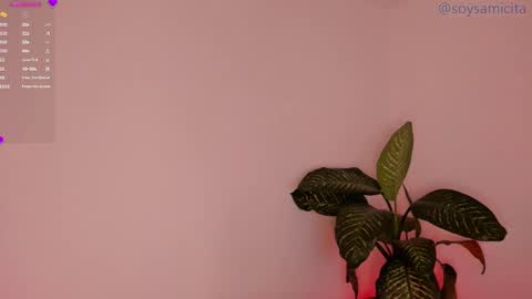 Sami Diaz   online show from 12/17/24, 08:34