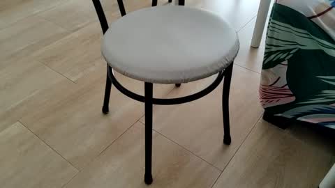 Leo online show from 03/02/26, 01:51