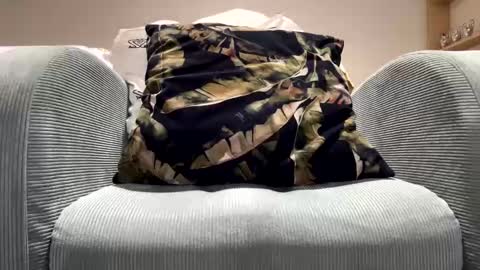 Snapshot of specialll27 chatting on 02/11/25, 11:54 Dany online show from 02/11/25, 11:54