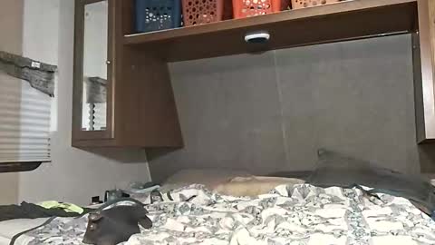 speedo_tx online show from 03/07/26, 10:23