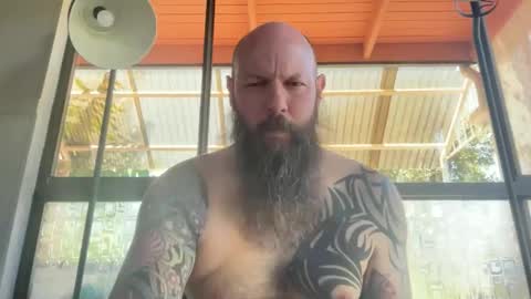 Snapshot of spenderal chatting on 11/06/25, 03:07 Beard Guy online show from 11/06/25, 03:07