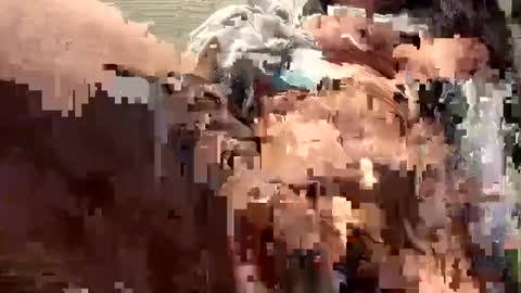 Sammi online show from 12/16/24, 07:32