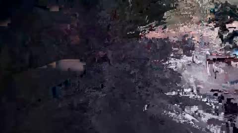 Snapshot of spider00969 chatting on 02/24/26, 02:42 spider00969 online show from 02/24/26, 02:42