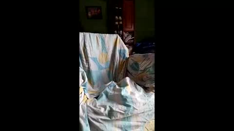 spieguelman online show from 04/17/26, 11:24