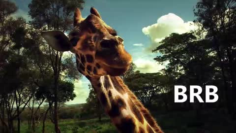 Karina online show from 01/18/25, 09:02