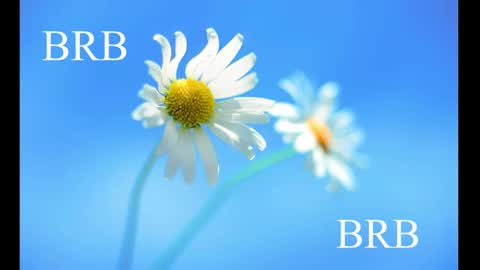 Karina online show from 02/28/25, 08:31