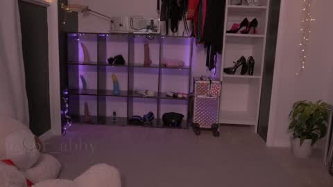 Snapshot of spr_abby chatting on 12/30/24, 04:40 Abby online show from 12/30/24, 04:40