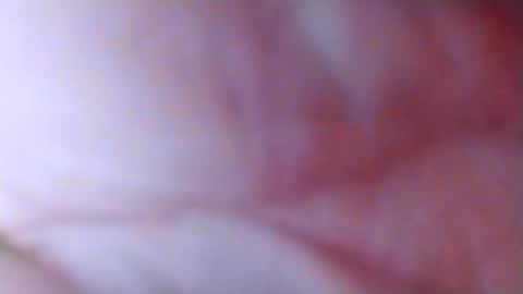 Snapshot of spun_horndaddy chatting on 11/04/25, 10:58 SpunSlut online show from 11/04/25, 10:58