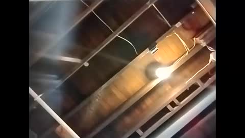 spundaddyandprincess online show from 12/01/24, 04:29