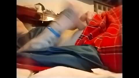 spundaddyandprincess online show from 12/02/24, 03:15