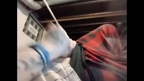 spundaddyandprincess online show from 12/04/24, 06:00