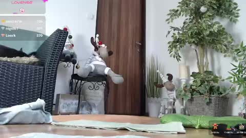 Monica online show from 12/21/24, 12:16