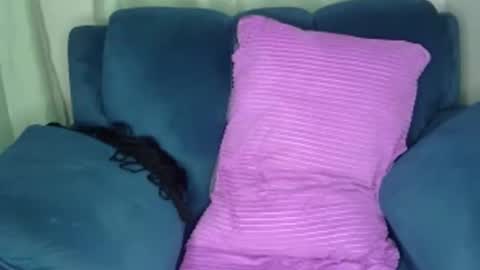 shana online show from 12/08/24, 06:28