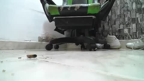 sr master cum its my old account online show from 04/14/26, 06:03