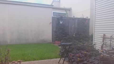 srtxshow online show from 09/23/25, 07:06