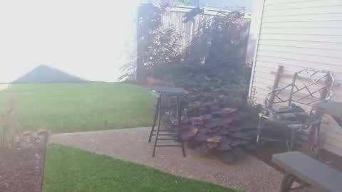 srtxshow online show from 09/26/25, 02:43