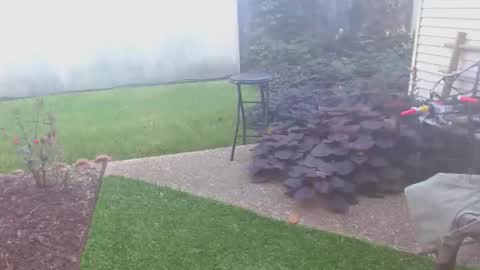 srtxshow online show from 10/16/25, 01:45