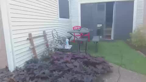 srtxshow online show from 10/20/25, 12:49