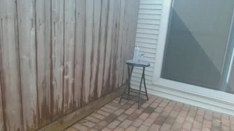 srtxshow online show from 10/25/25, 04:46