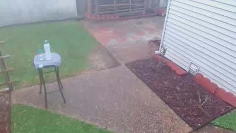 srtxshow online show from 03/08/26, 10:13