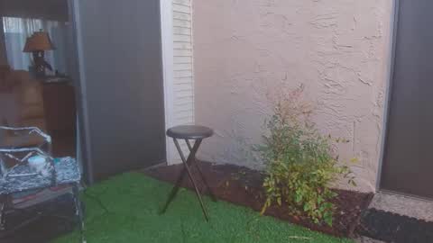 srtxshow online show from 03/13/26, 11:33