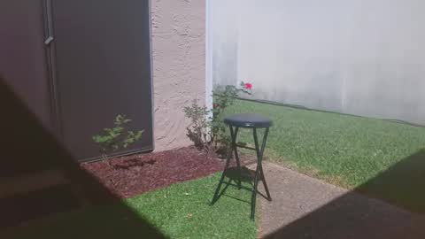 srtxshow online show from 03/14/26, 04:34