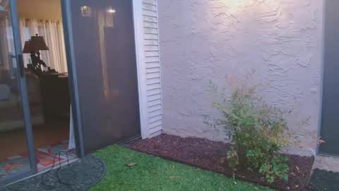 srtxshow online show from 04/04/26, 12:02