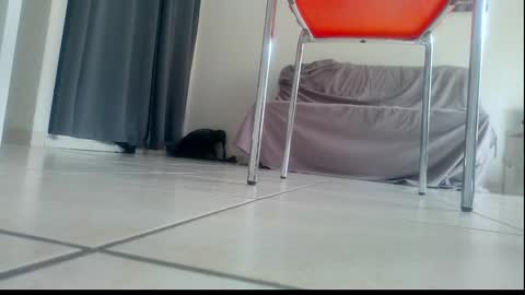 Snapshot of ssenzo chatting on 12/21/25, 02:13 ssenzo online show from 12/21/25, 02:13