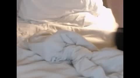 Snapshot of st8llion chatting on 02/27/25, 01:38 st8llion online show from 02/27/25, 01:38