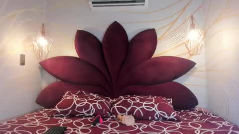 STAAR HOT online show from 02/19/26, 12:23