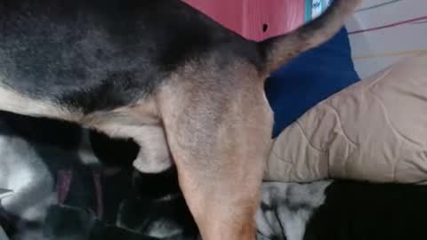 Snapshot of stacisavige chatting on 04/02/26, 09:23 Sinserity online show from 04/02/26, 09:23