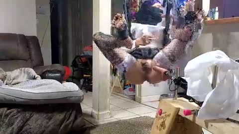 Submissive Slut LOVES adoration online show from 11/12/25, 07:20