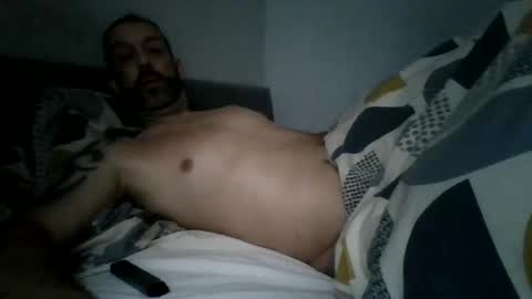 Snapshot of stallion115022 chatting on 10/17/25, 09:01 stallion115022 online show from 10/17/25, 09:01