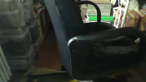 CIPPALIPPA online show from 01/21/25, 08:52