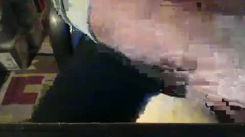 Snapshot of stalloneumbro chatting on 11/17/25, 05:08 CIPPALIPPA online show from 11/17/25, 05:08