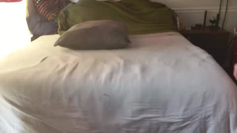 staloney online show from 02/10/26, 03:49