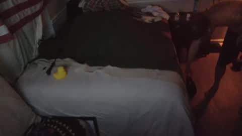 staloney online show from 02/15/26, 09:52