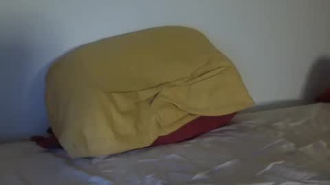 stan_hung online show from 12/08/24, 06:50