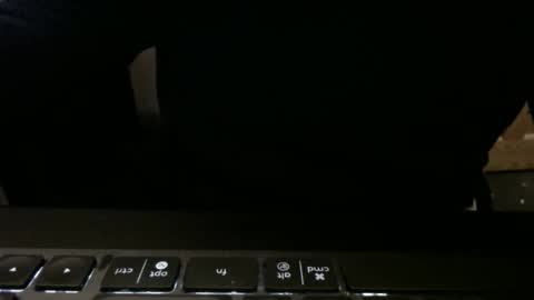 Snapshot of stargazer1069 chatting on 11/13/25, 09:52 stargazer1069 online show from 11/13/25, 09:52