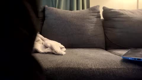 starr3095 online show from 09/17/25, 01:46