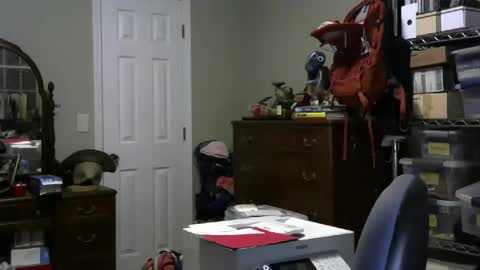 Snapshot of stasw20 chatting on 01/25/25, 03:09 stasw20 online show from 01/25/25, 03:09