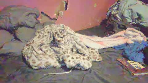 jayyyy online show from 10/06/25, 04:04